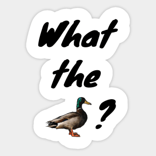 What the Duck? Sticker